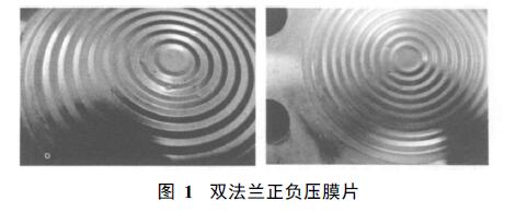 雙法蘭液位變送器膜片